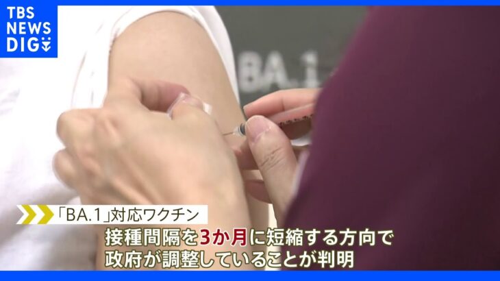 オミクロン株対応ワクチン　接種間隔「3か月」に短縮で調整｜TBS NEWS DIG
