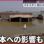 【パキスタン大規模洪水】国土の3分の1冠水 綿花も流され…日本への影響も