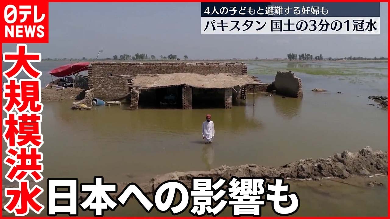 【パキスタン大規模洪水】国土の3分の1冠水 綿花も流され…日本への影響も