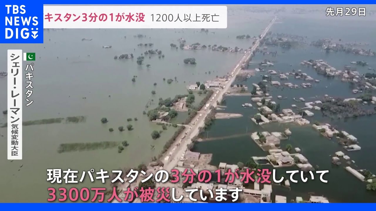 「国土3分の1が水没」パキスタン“史上最悪”洪水…日本も輸入している綿花が壊滅状態パキスタン大臣「温暖化の結果」|TBS NEWS DIG