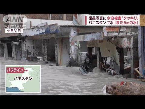 「家失った」国の3分の1水没 3300万人が被災 パキスタン大洪水(2022年9月1日)