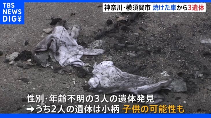 焼けた車から3人の遺体　2人は子どもか　神奈川・横須賀市｜TBS NEWS DIG