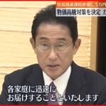 【追加の対策】政府 物価高騰対策を決定 5万円給付・ガソリン補助延長など