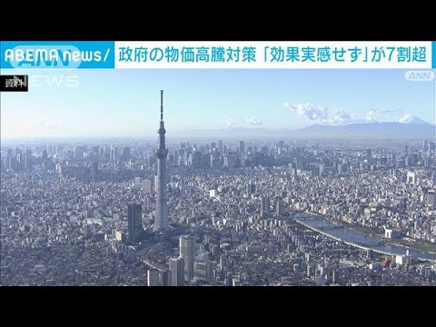 政府の物価高対策について7割以上の企業が「効果実感せず」(2022年9月17日)