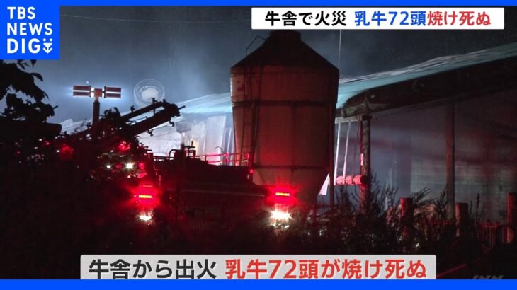 牧場の牛舎から出火…乳牛72頭が焼死　当時は牛舎内に人おらず火の気もなし　北海道・清水町｜TBS NEWS DIG