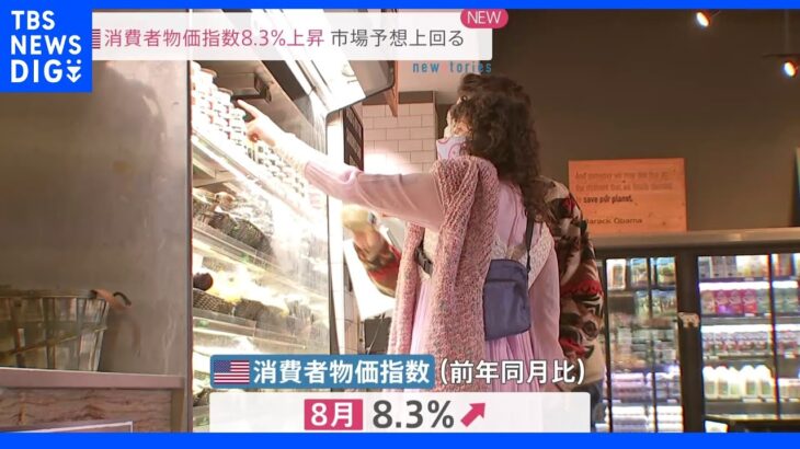 米・消費者物価8.3％上昇受け…　一気に2円以上円安、再び“144円台”に｜TBS NEWS DIG