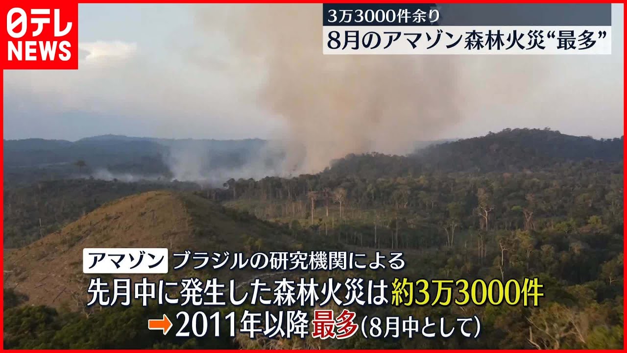 【南米アマゾン】8月の森林火災“最多”3.3万件余り…違法な森林伐採の急増が影響か