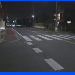 横断歩道を歩いていた87歳の女性が軽乗用車にはねられ死亡　千葉市中央区｜TBS NEWS DIG
