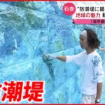 【防潮堤】高さ9.7m “海が見えなくなった町”に新たな魅力を！　宮城　NNNセレクション