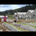 福島で根付く未来の技術 米材料のプラスチックでCO2削減 古着で育てる“復興の花”　(2022年9月23日)