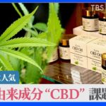 若者に人気の大麻由来成分“CBD”の利用急拡大　ただし違法成分が混入の危険も…｜TBS NEWS DIG