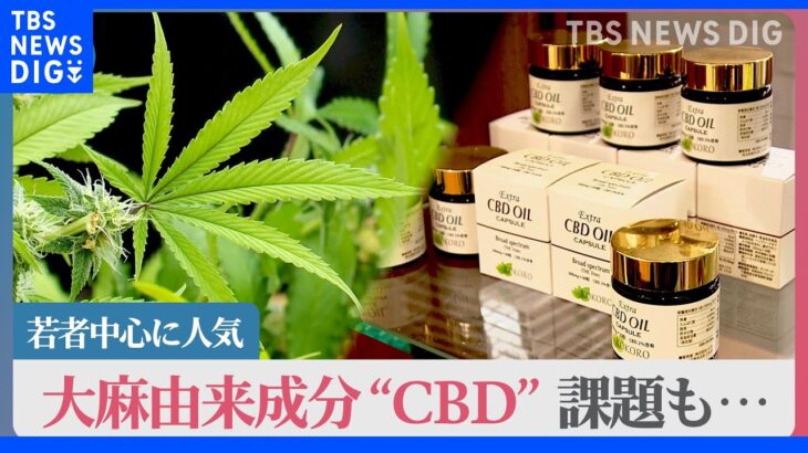 若者に人気の大麻由来成分“CBD”の利用急拡大　ただし違法成分が混入の危険も…｜TBS NEWS DIG