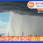 「雲から落ちてくる滝のよう…」プロがiPhoneで撮った雨柱　“遠くのゲリラ豪雨”写真に反響｜TBS NEWS DIG