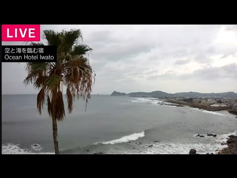 【LIVE】大型で猛烈「台風14号」 が接近中 鹿児島・枕崎市の様子をライブ