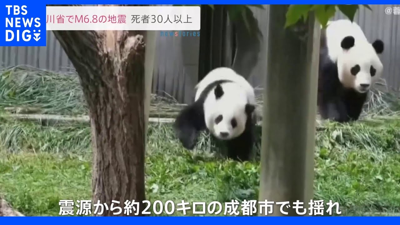 中国四川省でM6.8の地震&nbsp;30人以上死亡&nbsp;成都市で揺れに驚いたパンダも・・・｜TBS&nbsp;NEWS&nbsp;DIG