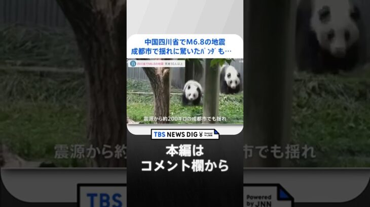 中国四川省でM6.8の地震 46人が死亡 成都市で揺れに驚いたパンダも…｜TBS NEWS DIG #shorts