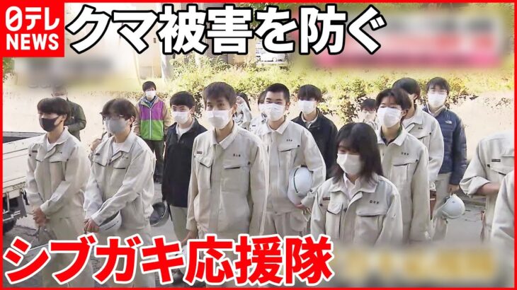 【今日の1日】各地で今季一番の冷え込み クマの被害防ぐ「シブガキ応援隊」活躍