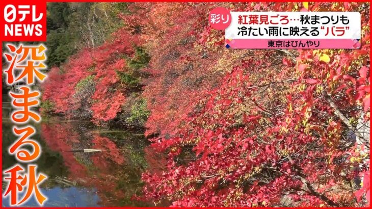 【今日の1日】バラや紅葉見ごろに…各地でにぎわい 冬のレジャー施設では値上げの影響も