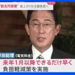 岸田総理、電気料金の負担軽減「来年1月以降できるだけ早く実施」｜TBS NEWS DIG