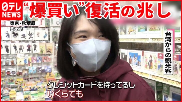 【円安で】“爆買い”復活の兆し 100万円以上のニシキゴイも「バーゲンセール状態」