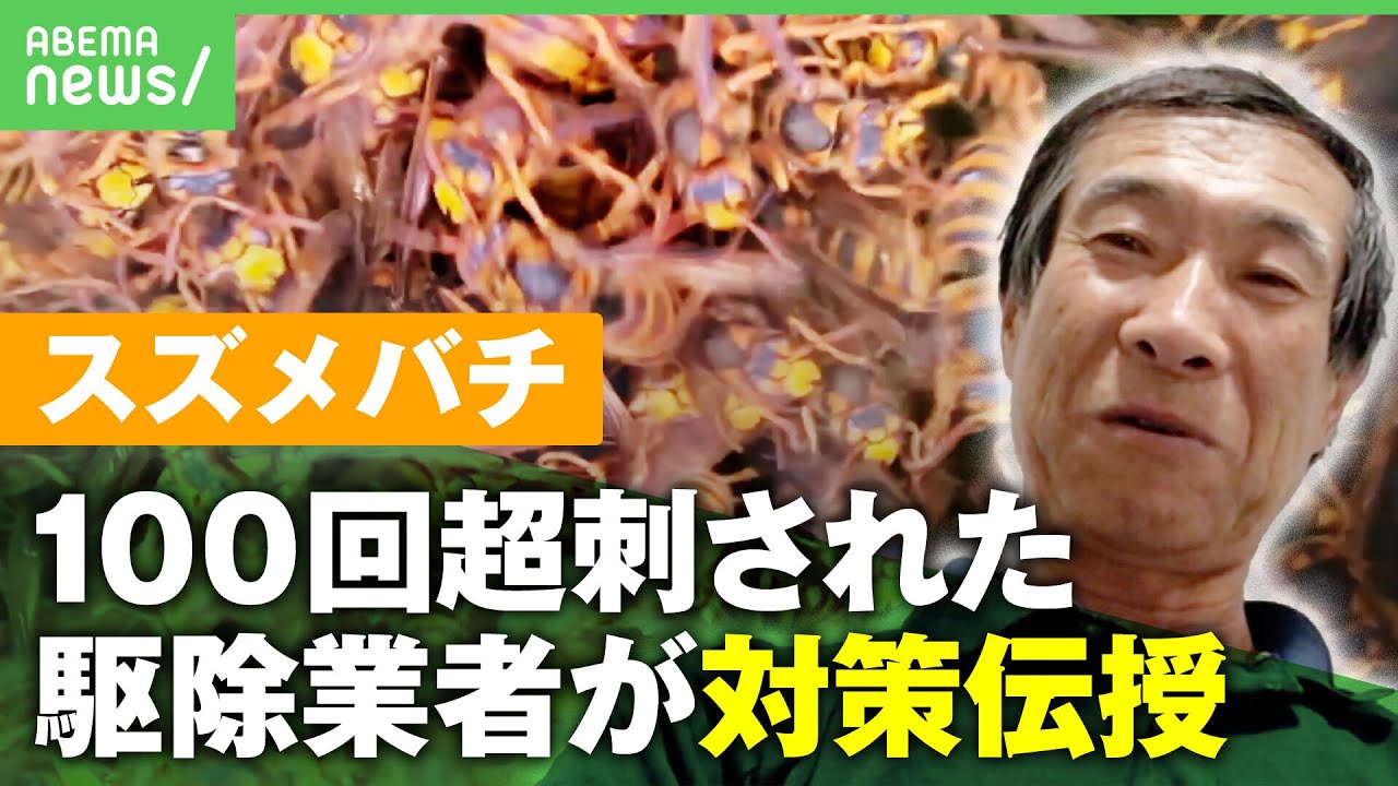 【スズメバチ】100回超刺された専門家が警鐘｢10月に狂暴性増す｣もし出合ったら？刺され時の対処は？