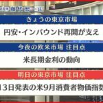 【10月11日の株式市場】株価見通しは？藤代宏一氏が解説