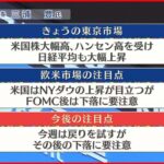 【10月31日の株式市場】株価見通しは？ 三浦豊氏が解説