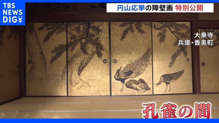 13年ぶりの特別公開　円山応挙の障壁画　兵庫・香美町｜TBS NEWS DIG