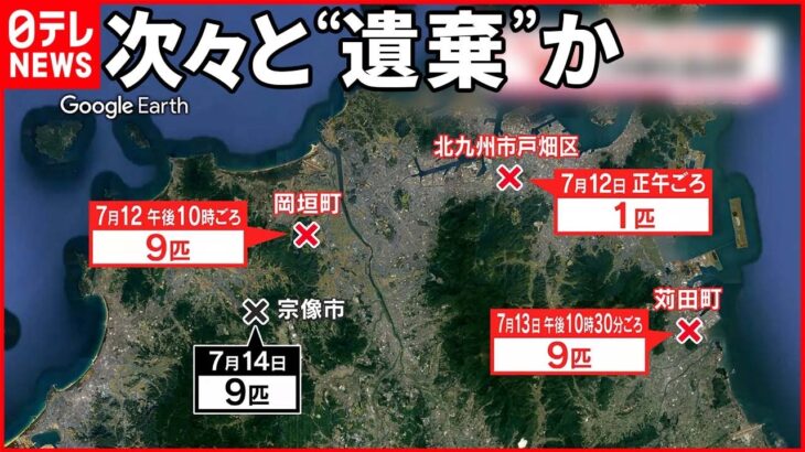 【夫婦を追送検】ミニチュアダックス19匹“遺棄” 「エサ代毎月13万円」