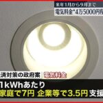 【電気など負担軽減策】来年1月～9月まで “4万5000円程度支援”で最終調整