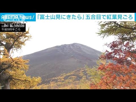 富士山五合目 紅葉が一気に見頃　昨年より2倍超の観光客か(2022年10月22日)
