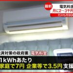 【電気料金】家庭負担額を2割程度軽減へ 経済対策の政府案