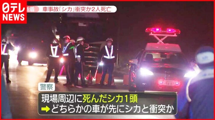 【事故】車とトラック衝突2人死亡…現場にはシカ どちらかの車が衝突か 北海道