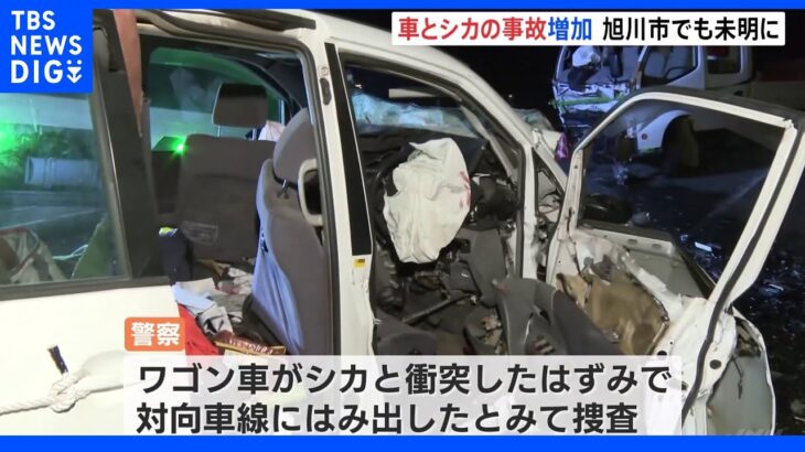 シカと車が衝突　2人が死亡する事故　北海道でシカがからむ交通事故が過去最多で、道警が注意呼びかけ｜TBS NEWS DIG