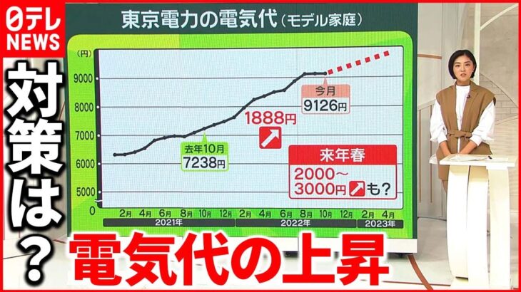 【来春の電気代】「2000～3000円」上昇か……経済評論家「円安続けばさらに上がる可能性も」　政府“負担軽減策”どうなる？