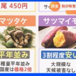 秋の味覚！値段一覧2022年　安くなったものは？調べました｜TBS NEWS DIG