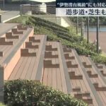 【高潮から街を守る】東京23区東部中心に浸水想定…遊歩道・芝生も防潮堤に