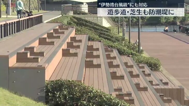 【高潮から街を守る】東京23区東部中心に浸水想定…遊歩道・芝生も防潮堤に