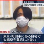 【27歳の男逮捕】自宅の一室で大麻草栽培　「外国に行って大麻栽培の仕事をしようと…その前に日本で」