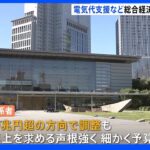 総合経済対策・29兆円超の見通し　自民党内から「去年と比べて少なすぎる」予備費を大幅増額へ｜TBS NEWS DIG