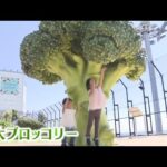 『巨大ブロッコリーのオブジェ』神戸空港の展望デッキに“映える”スポットがオープン（2022年10月1日）