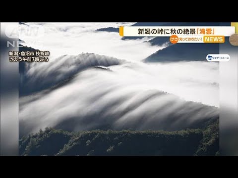 秋の絶景「滝雲」　山間を流れ落ち…　新潟・枝折峠(2022年10月3日)