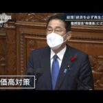 岸田総理「日本経済を必ず再生させる」物価高対策の中身は？臨時国会召集(2022年10月3日)