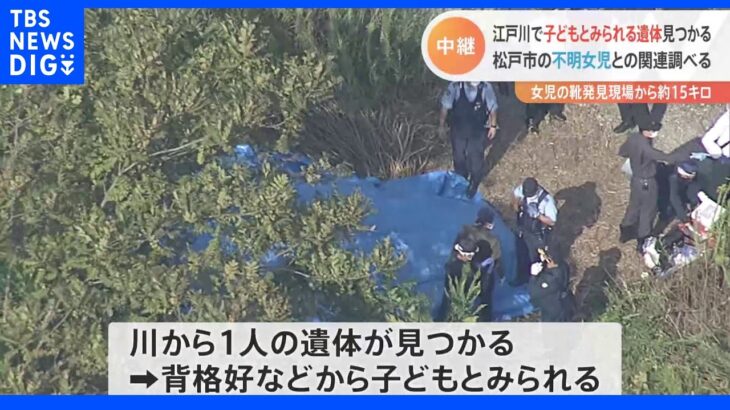 江戸川で子どもとみられる遺体「死体のようなものが浮かんでいる」と通報　松戸の不明女児との関連調べる｜TBS NEWS DIG