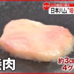 【日本ハム】研究開発中の「培養肉」発表 人口増加に備え…