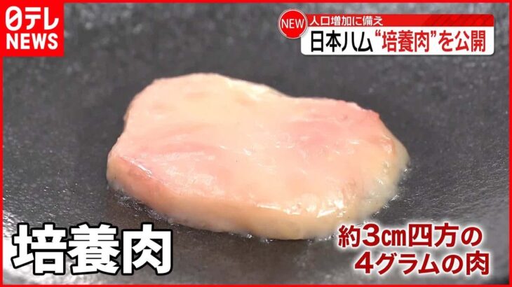 【日本ハム】研究開発中の「培養肉」発表 人口増加に備え…