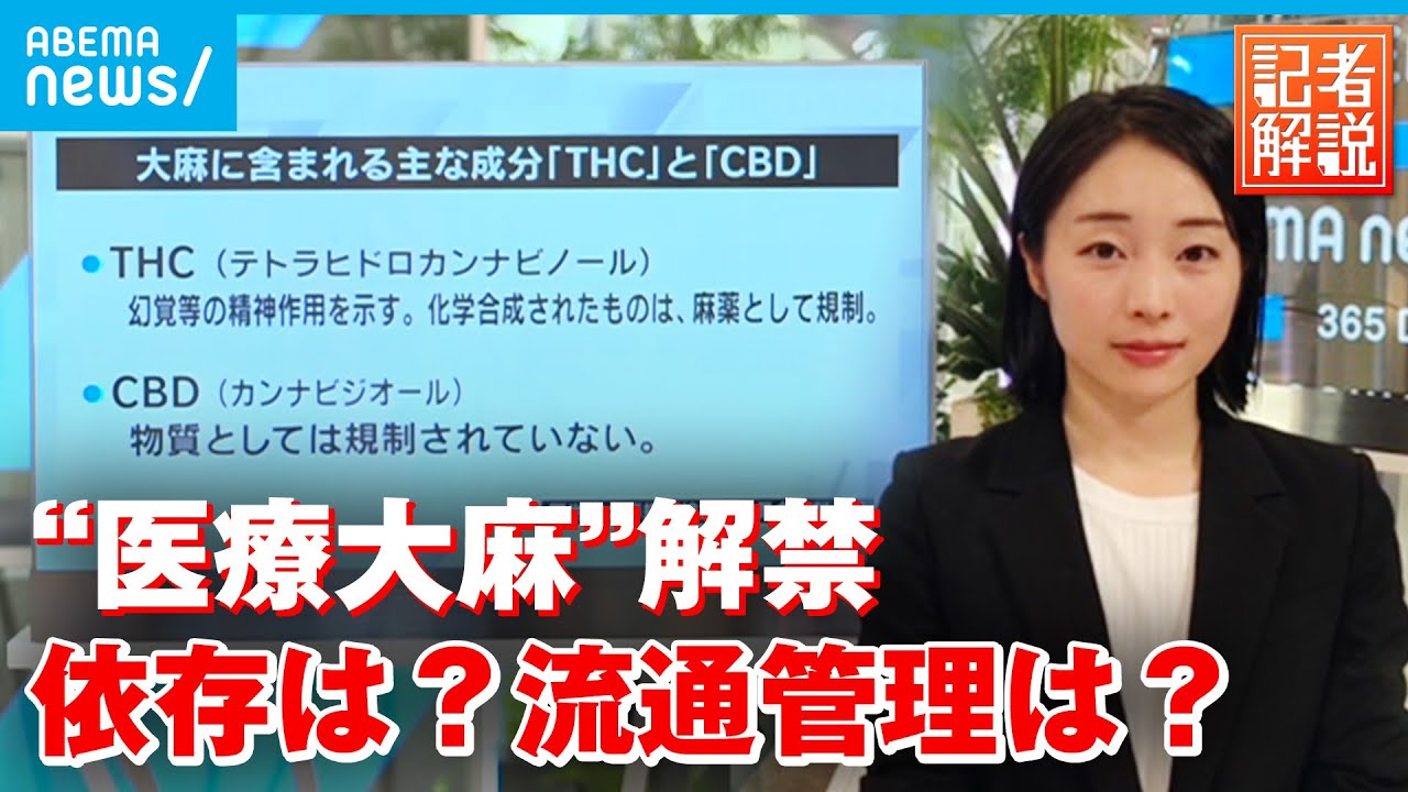 【医療用大麻】なぜ解禁？医療はどう変わる “使用罪“創設 CBDの規制も解説｜厚労省担当 藤原妃奈子記者
