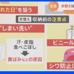 「衣替えは“湿気”との戦い」専門家が伝授する衣替えの極意！収納のポイントは「立てて」「８割」｜TBS NEWS DIG