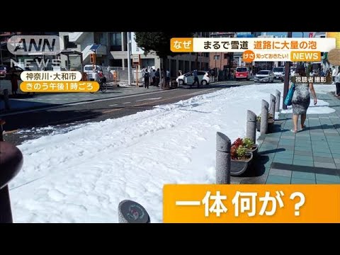 道路が真っ白　まるで“雪道”…事故で“大量の泡”(2022年10月5日)