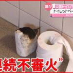 【3件相次ぐ】公園トイレで“連続不審火” トイレットペーパーが燃やされ… 大分・日田市
